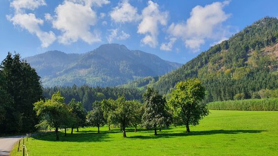 5.7 km Blick auf den Hauergraben