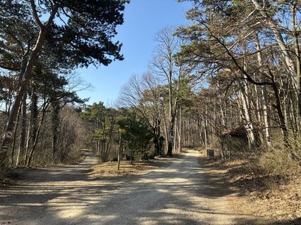 Foto de Martin1967 a lo largo del recorrido