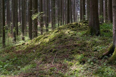 Vorgeschichtlicher Grabhügel auf dem Bärenbühl