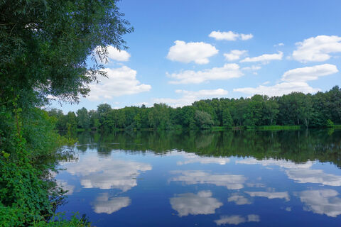 Wasserblickpunkt Borner See