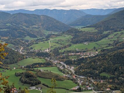 Fotografia z Johann Stadlbauer na trase