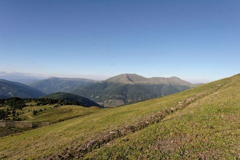 Blick auf den Eisenhut