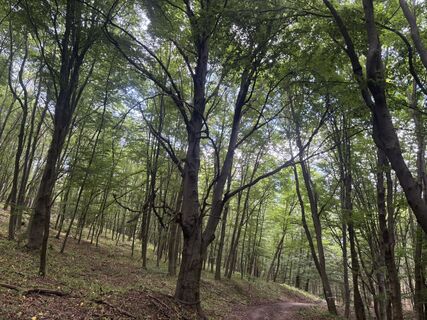 Fotografia z Reti Alicia na trase
