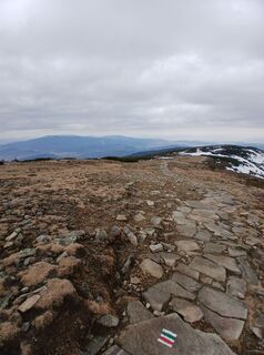 Photo de Daniel Kremiec le long du parcours