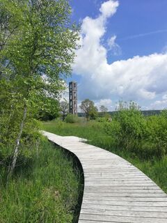 Wanderung großer Trauben