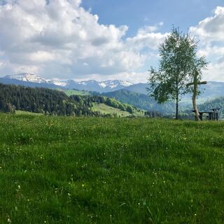 Auf dem Hompessenalpweg