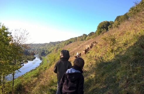 montagnedevaux_ZiegenundKinder©CBirewald