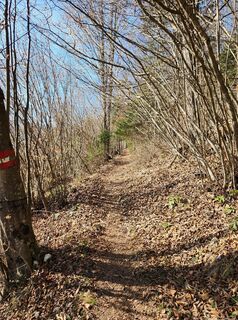 Photo from Petra Riegler along the tour