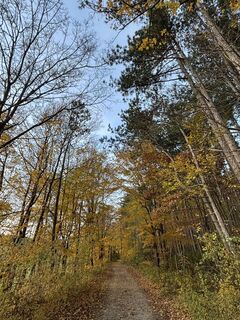 Fotografia z RS76 na trase