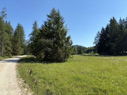 Foto von Kristina  1 entlang der Tour