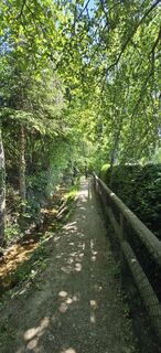 Photo de titi le long du parcours
