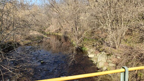 Fotografia z Gio58 na trase