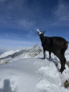 Foto von Skipper entlang der Tour