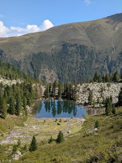 Photo de Martin Glaser le long du parcours
