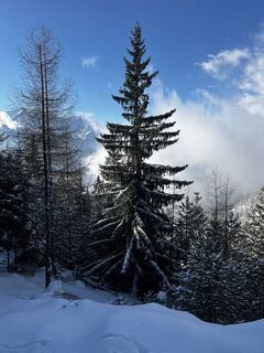 Zdjęcie z Zekai.Li wzdłuż trasy