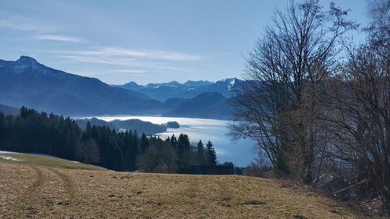 Photo de Pur Alexander le long du parcours