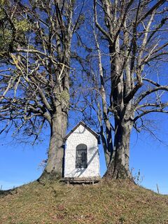Foto från Margit Karl under resans gång