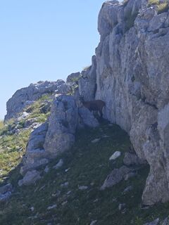 Photo de marco conte le long du parcours
