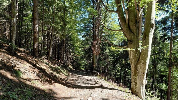 Photo de Wolfgang Arlic 1 le long du parcours
