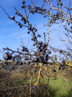 Foto de Bairebike a lo largo del recorrido