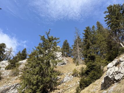 Zdjęcie z Natur_erleben_dg wzdłuż trasy