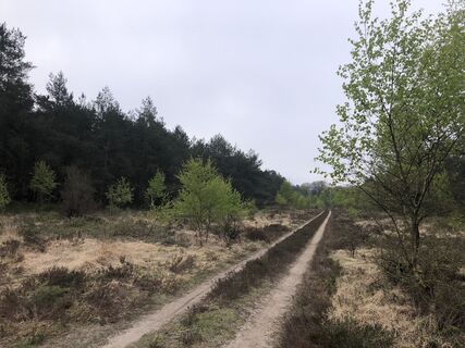 Foto von TM Kuperus entlang der Tour