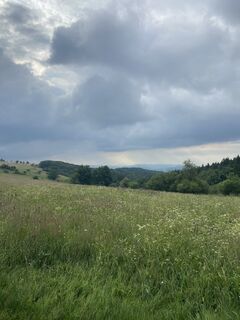 Zdjęcie z Robert Holub wzdłuż trasy