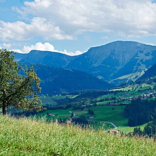 Blick vom Paradies zum Hochgrat