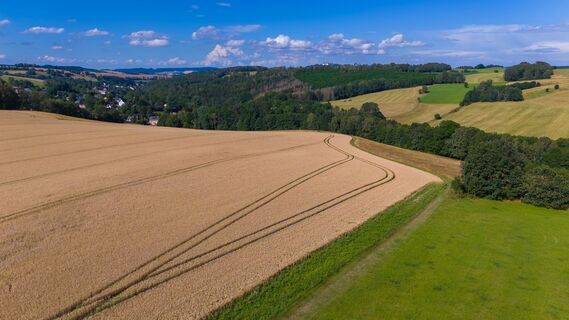 Blick auf den Weg von oben