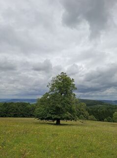 Foto von Andrea entlang der Tour