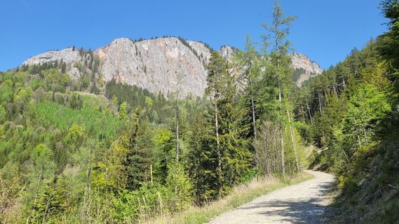 Foto von Juliane entlang der Tour
