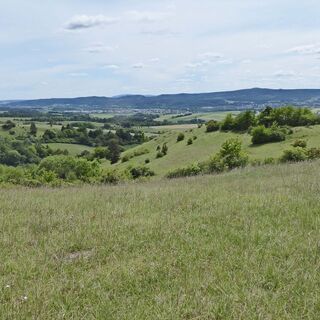 Landschaft der "Alten Warth" mit Blick ins Werratal