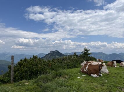 Photo de Heinz Sperl le long du parcours
