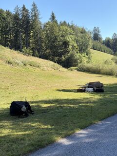 Fotografija s spletne strani Andreas Vogel 1 na poti