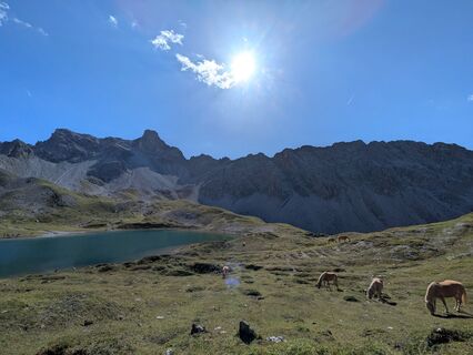Foto von Martin Glaser entlang der Tour