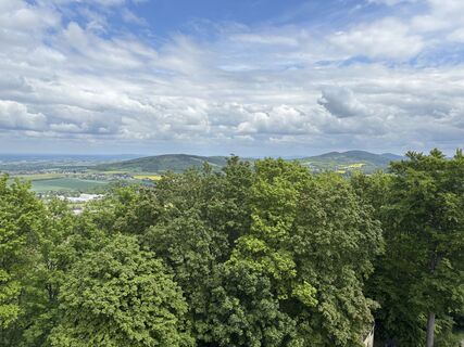 Foto von Sylvia Sellung entlang der Tour