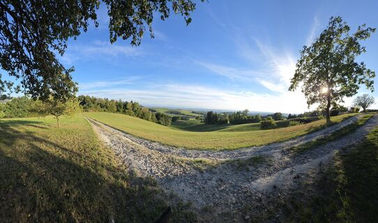 Foto von Pichler Gerald entlang der Tour