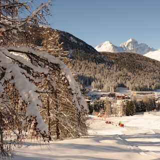 Steinbock-Promenade Winter