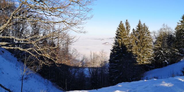 Fotografia z ReginaSt na trase