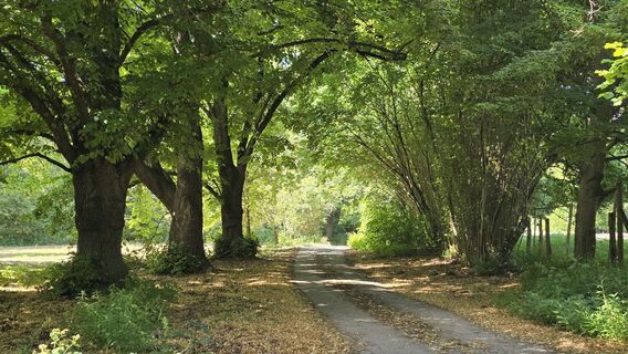 Kuva osoitteesta Hieu Duc Tram matkan varrella