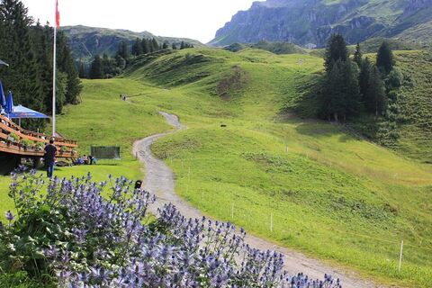 Blick von der Furt bergwärts