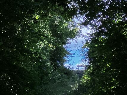 Fotografia z Martin Würsch na trase