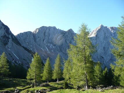 wehmütiger Blick zurück