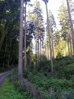 Foto von heckp entlang der Tour