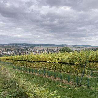 Foto de Franz Schultheiss a lo largo del recorrido