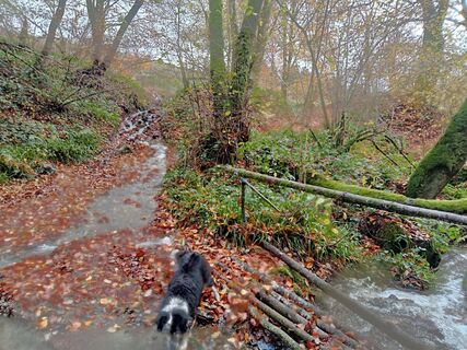 Fotografija s spletne strani Jp Rault na poti