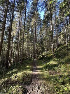 Fotó a Babs Holz honlapról a túra során