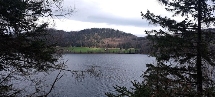 Thalgau, Salzburg/Österreich