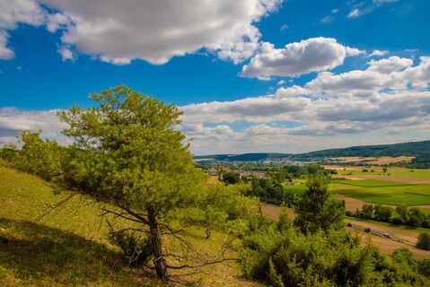 Landschaft LT