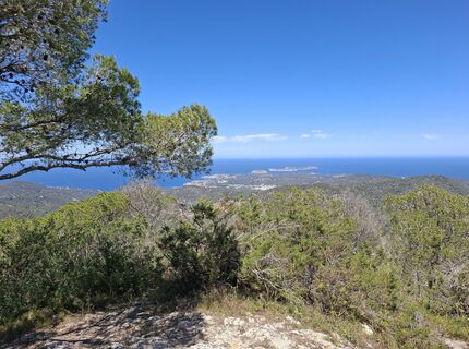 Foto von hawiwandern entlang der Tour